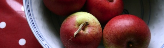 ‘Ellison’s Orange’ apples