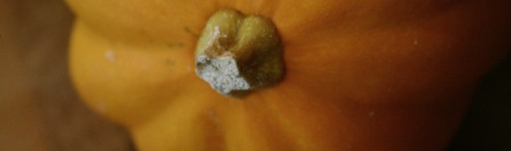 Golden Acorn Squash