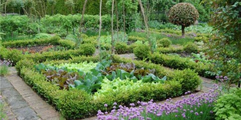 spring-2009-007