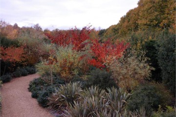 garden-images-nov09-228