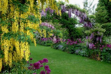 b-wisteria-walk-low-adj