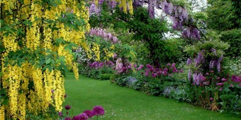 b-wisteria-walk-low-adj