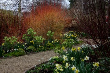 winter-garden-feb-29-low-img_16661