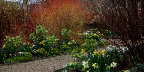 winter-garden-feb-29-low-img_16661