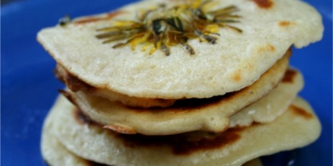 dandelion fritters