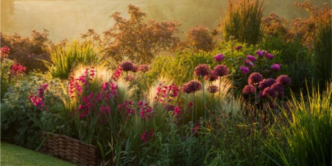 Image copyright Clive Nichols. All rights reserved.