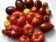 homegrown heritage tomatoes