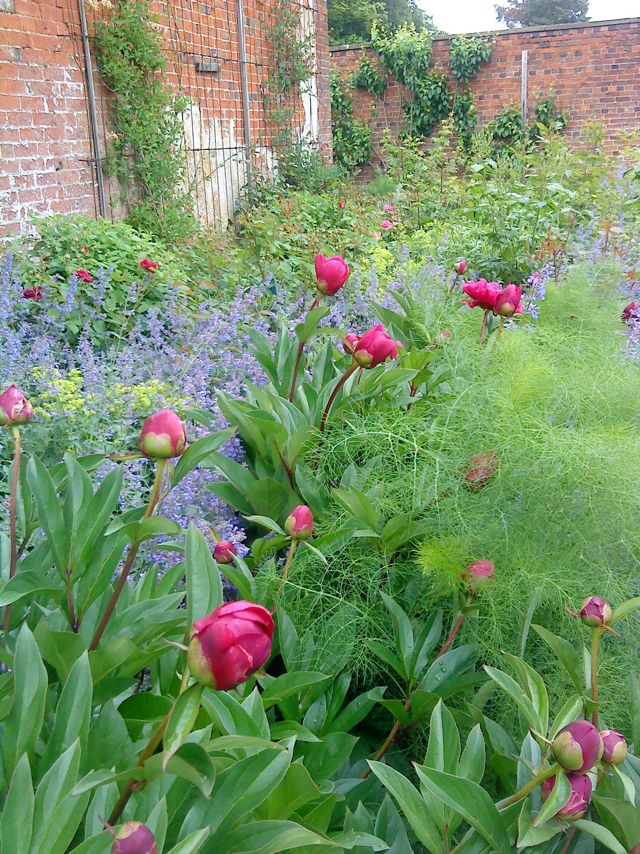 20110815-192826.jpg