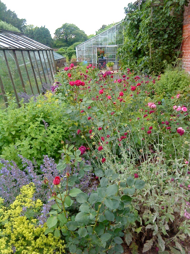 20110815-194115.jpg