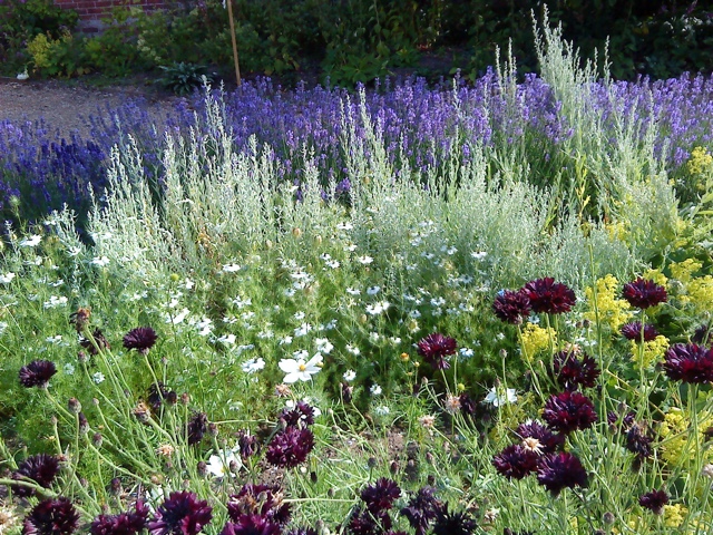20110815-194325.jpg