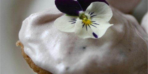 blackberry, vanilla, and viola cupcakes