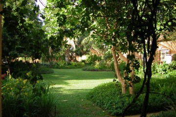 across the lawn - 2