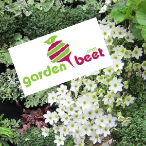 garden art