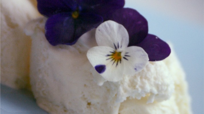 violas and ice cream