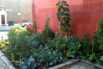 Edible Bus Stop