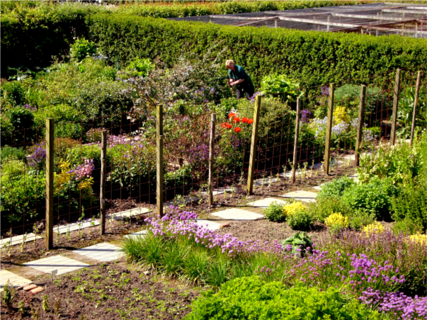 Castle of Mey Gardens