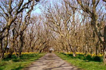 Castle of Mey