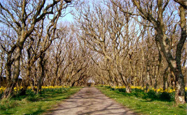 Castle of Mey
