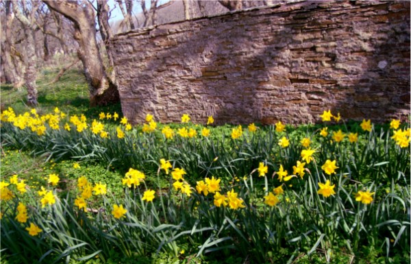 Castle of Mey