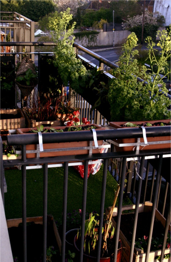 balcony garden