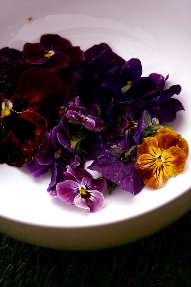 edible viola flowers for viola jelly