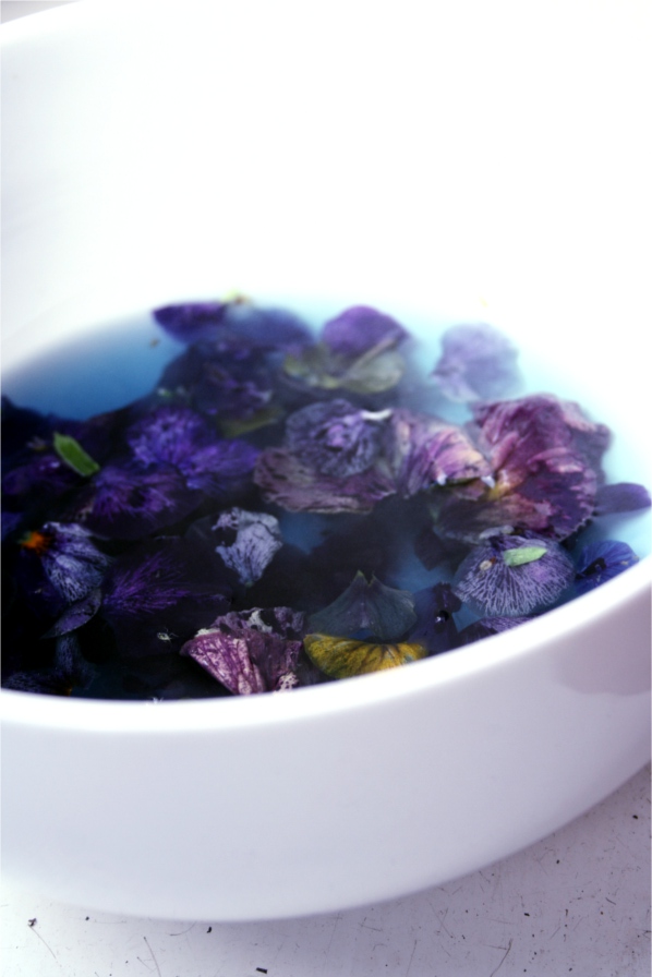 making viola jelly
