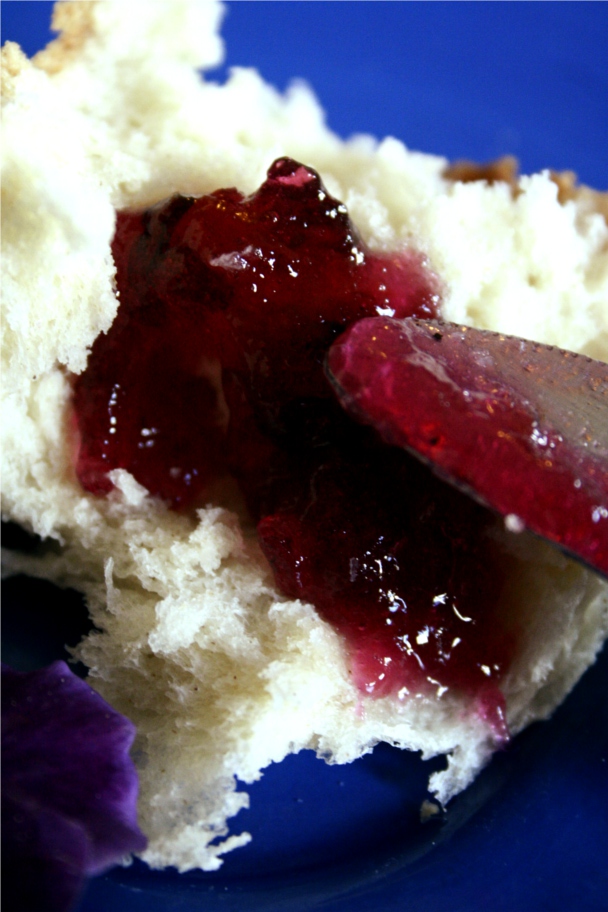 viola jelly
