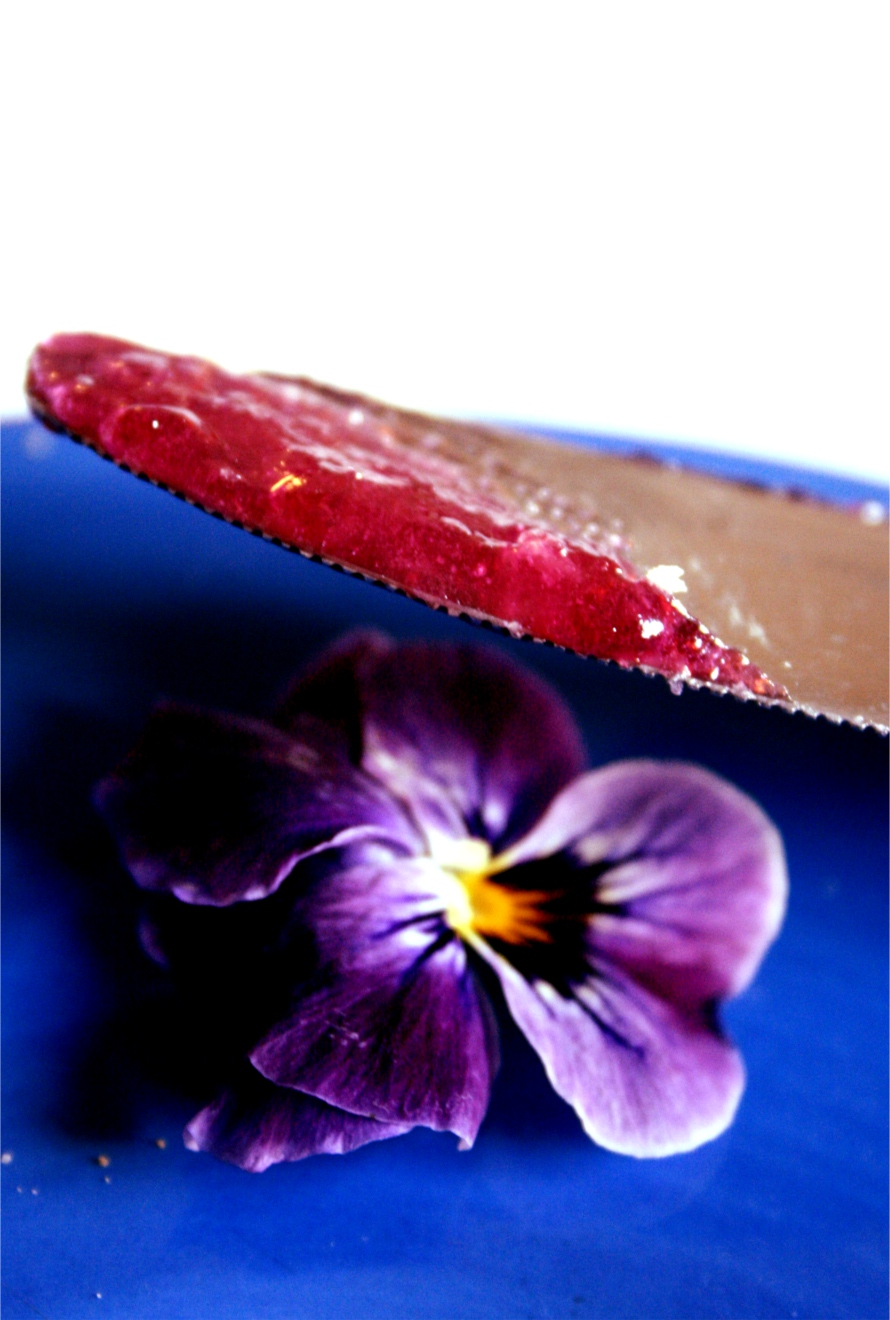 viola jelly