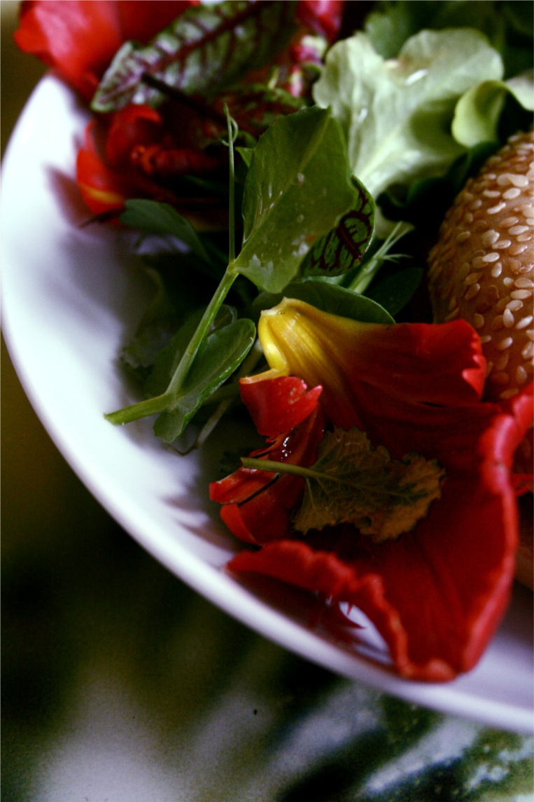 edible tulip petals
