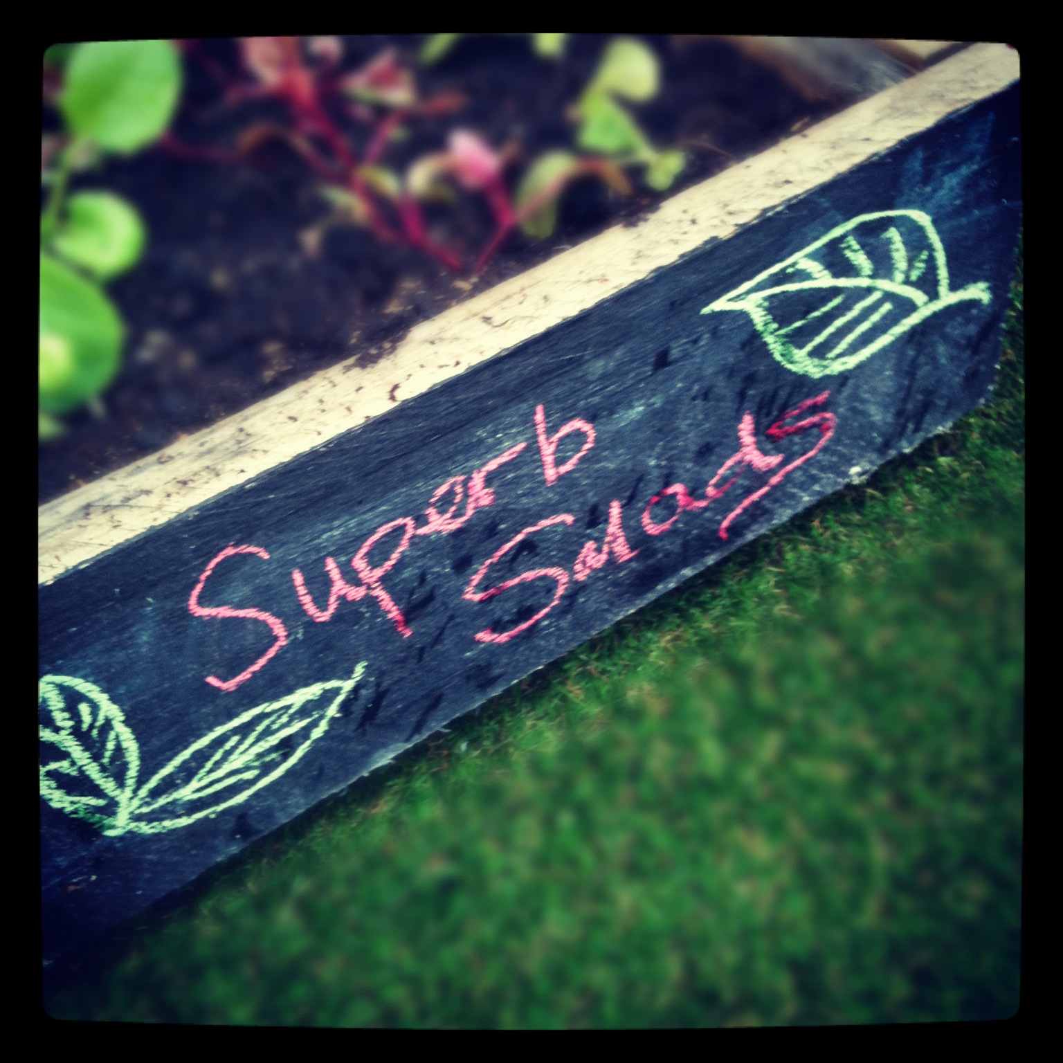 Salad in a blackboard crate