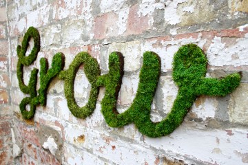 w_grow_2