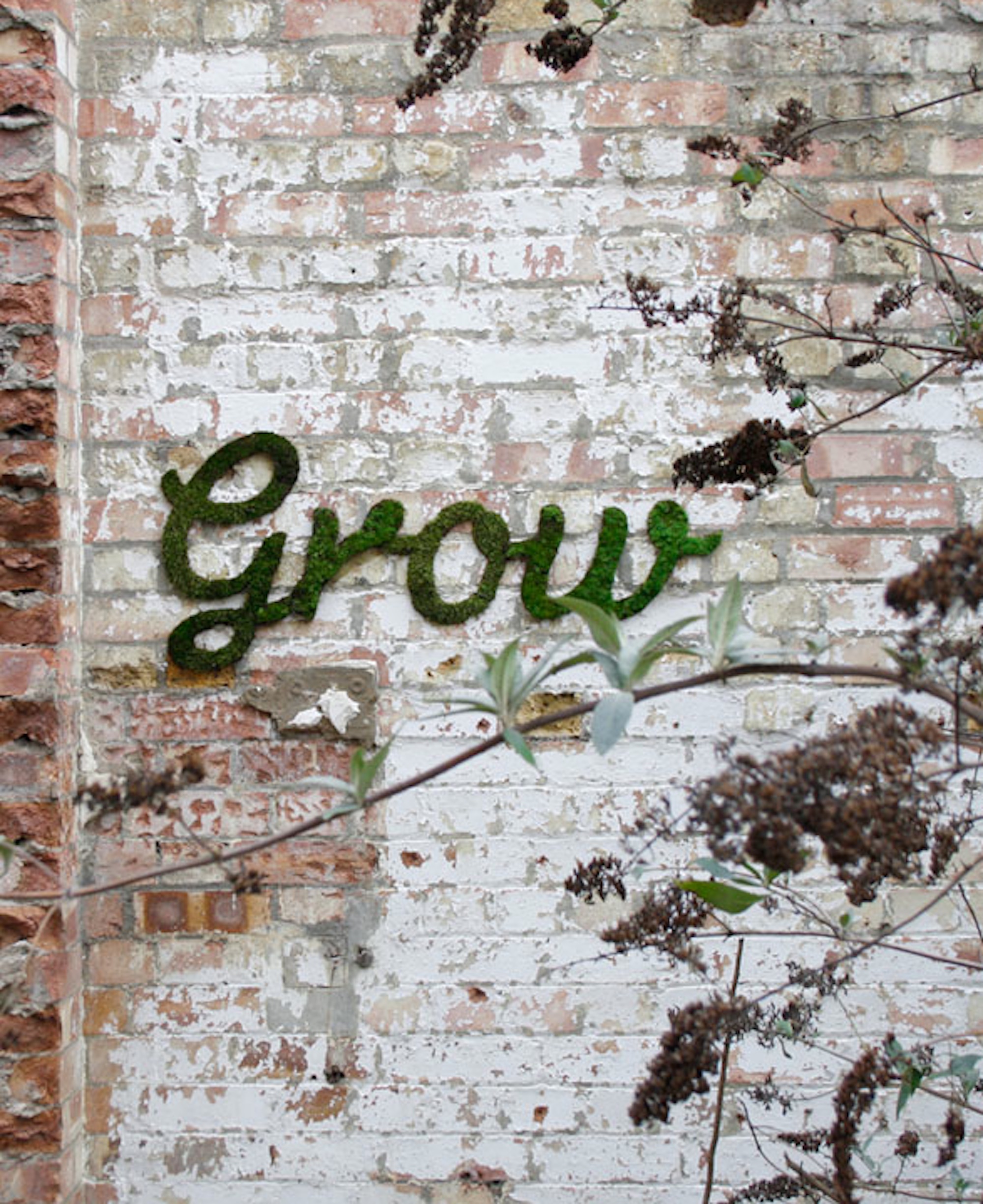 w_grow_3