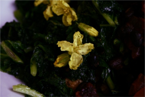 edible kale flowers