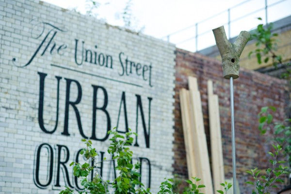 union street orchard