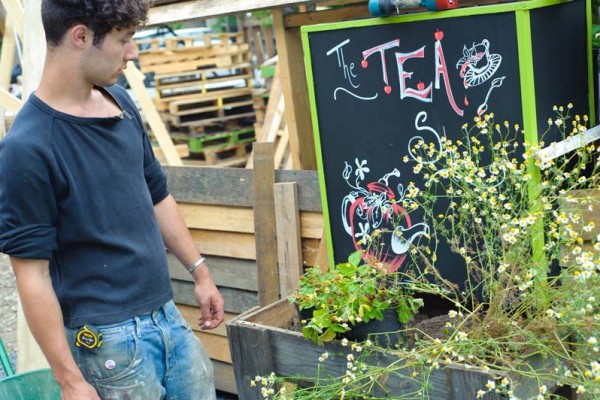 union street urban orchard