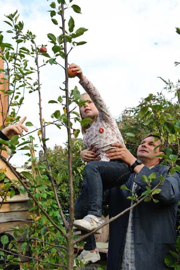 urban orchard