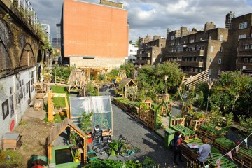 Union street orchard