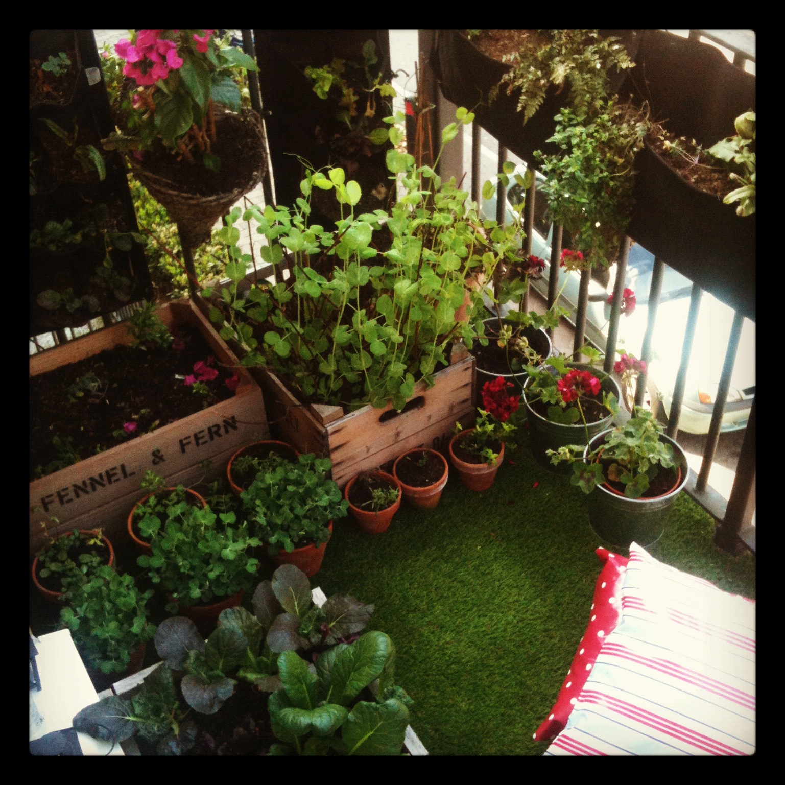balcony garden
