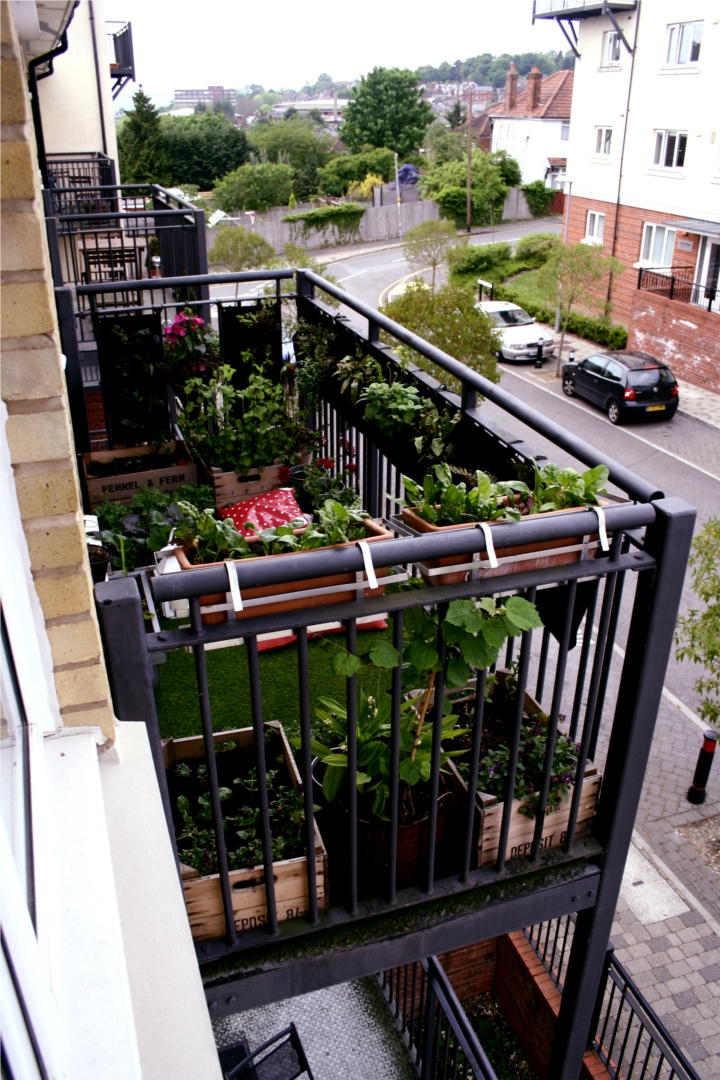 balcony garden