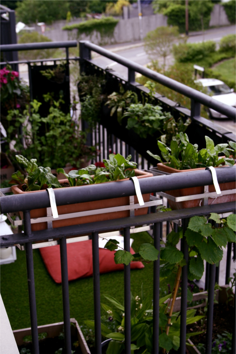 balcony garden