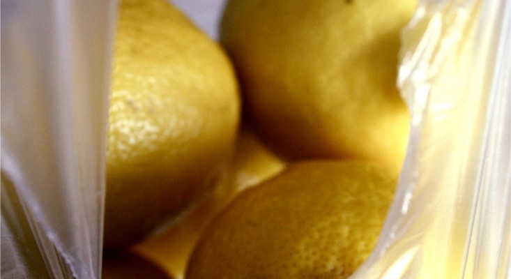 repelling aphids with lemon juice