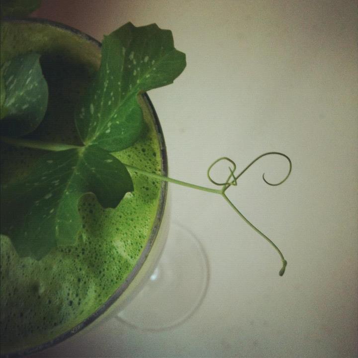 peashoot cocktail