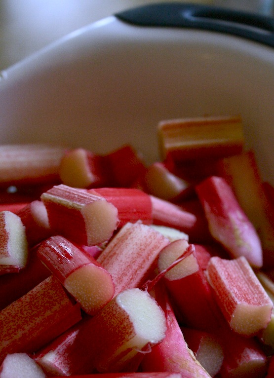 forced rhubarb