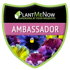 Plant Me Now - Ambassador