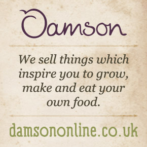 Damson Online