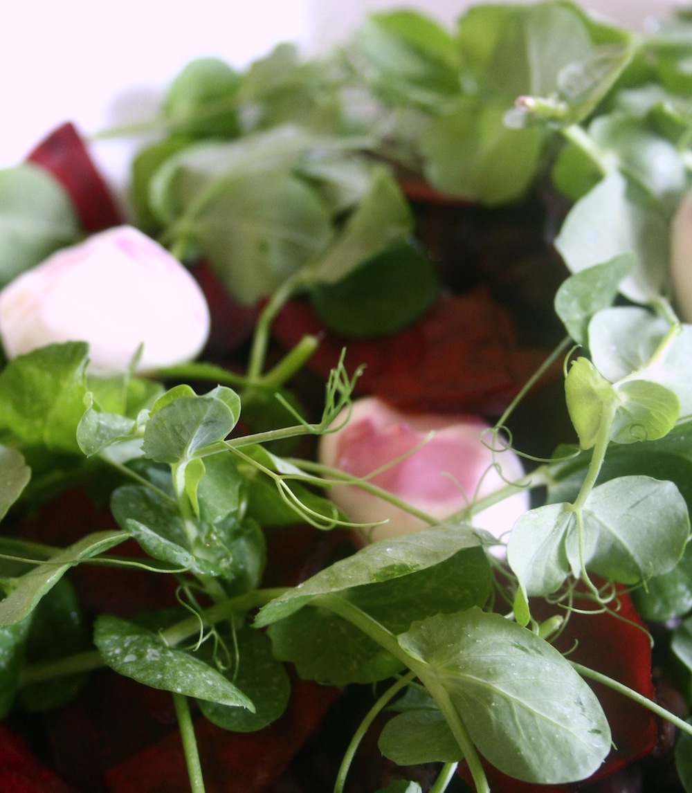 salad recipe