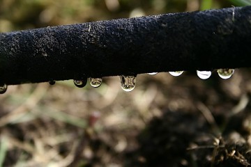 soaker hose
