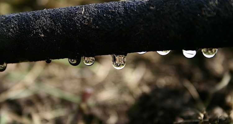 soaker hose