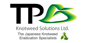 TP Knotweed