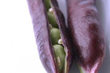 purple podded peas